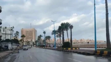 انخفاض كبير في درجات الحرارة وأمطار رعدية مهددة بتحويل المناطق إلى سيول غدًا وفقًا للأرصاد 1